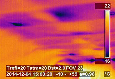 Mould detection by thermographic survey helps prevent health damage in your home